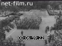 Кадр видео