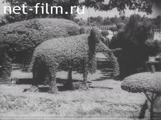 Киножурнал Более странно, чем вымысел №56 (1938)