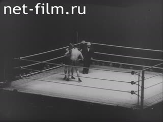 Newsreel Tonwoche №247 (1935)