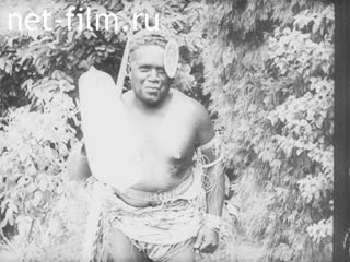 Newsreel Tonwoche №354 (1937)