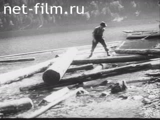 Киножурнал Бавария Тонвохе №28 (1937)