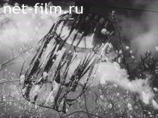 Киножурнал Бавария Тонвохе №19 (1937)