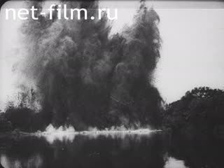 Newsreel Tonwoche №323 (1936)