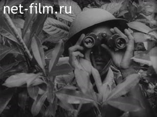 Киножурнал Военные иллюстрированные новости №84 (1942)