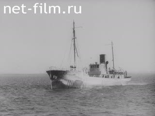 Newsreel Universal Newspaper Newsreel №24714 (1933)