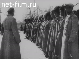 Newsreel Universal Newspaper Newsreel №102 (1930)