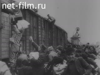 Киножурнал Новости Юнайтед №152 (1944)