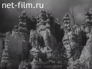 Киножурнал По разным местам №32 (1937)