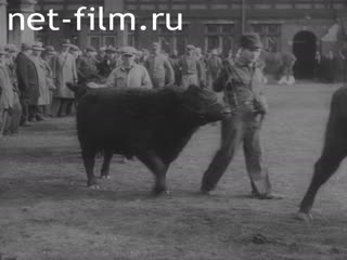 Newsreel Universal Newspaper Newsreel №97 (1932)
