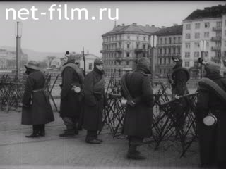 Newsreel Universal Newspaper Newsreel №21790 (1934)