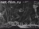 Footage frame