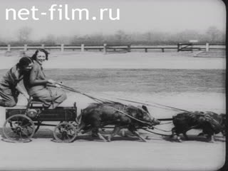 Киножурнал Газета Новости Юниверсал №21815 (1931)