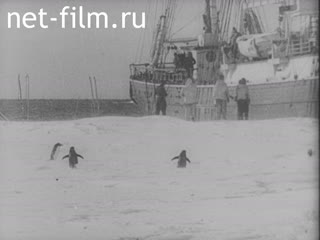 Киножурнал Новости Британии Мувитон №21526 (1930)