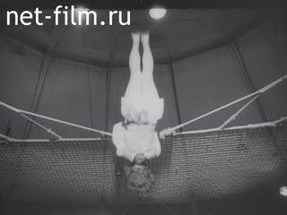 Newsreel Ostland Woche №22536 (1943)