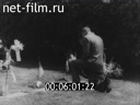 Кадр видео