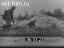 Footage frame