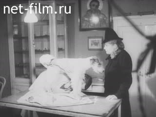 Киножурнал Киноотчет из Генерал-Губернаторства №24055 (1941)