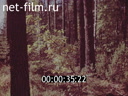 Footage frame