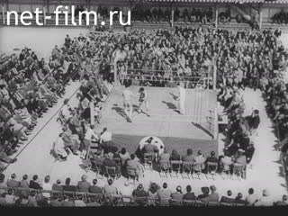 Newsreel Ostland Woche №23971 (1943)