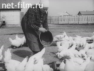 Newsreel Ostland Woche №24134 (1943)