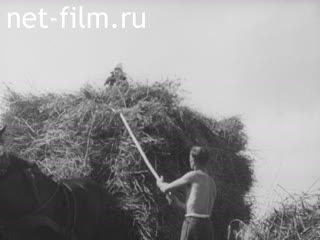 Newsreel Ostland Woche №24212 (1943)