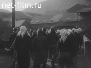 Newsreel Ostland Woche №24421 (1943)