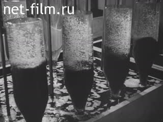 Newsreel Ostland Woche №24835 (1943)