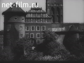 Newsreel Ostland Woche №25062 (1943)
