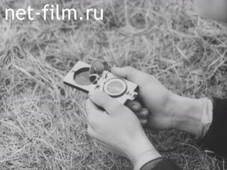 Newsreel Ostland Woche №25105 (1943)