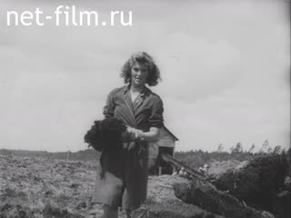 Newsreel Ostland Woche №28297 (1943)