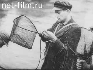 Newsreel Tonwoche №701 (1945)