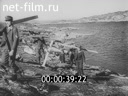 Кадр видео