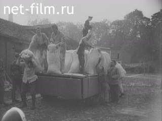 Киножурнал Тонвохе №424 (1938)