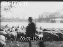 Кадр видео