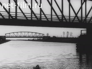 Киножурнал Тонвохе №426 (1938)