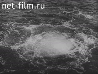 Newsreel Tonwoche №457 (1939)