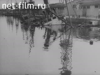 Киножурнал Тонвохе №440 (1939)