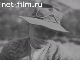 Киножурнал Бавария Тонвохе №22 (1938)