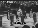 Кадр видео