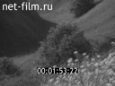 Footage frame