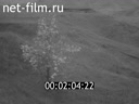 Footage frame