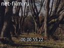 Footage frame