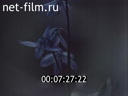 Footage frame