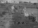 Кадр видео