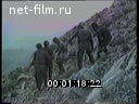 Кадр видео