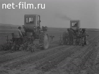 Newsreel Daily News / A Chronicle of the day №14-1980 (1980)