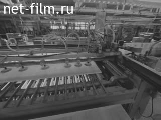 Newsreel Daily News / A Chronicle of the day №20-1979 (1979)