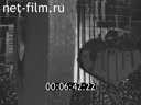 Footage frame
