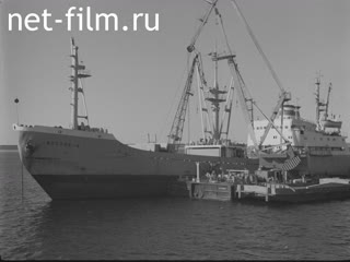 Newsreel Daily News / A Chronicle of the day №40-1978 (1978)