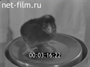 Footage frame